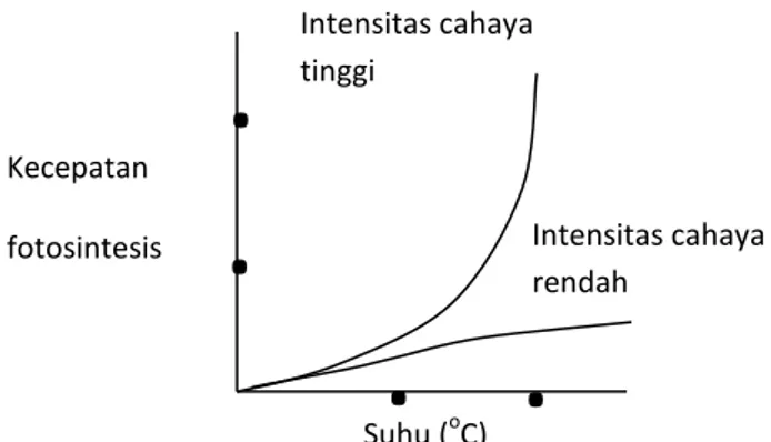 Gambar 4. Diagram pengaruh suhu dan intensitas cahaya terhadap kecepatan fotosintesis 