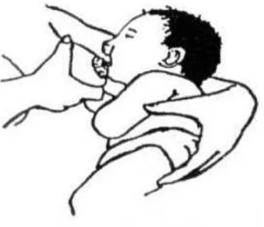 Gambar 3. Cara merangsang mulut bayi (Perinasia, 2004) 