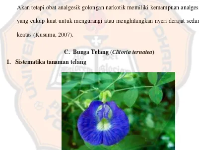 Gambar 2 Bunga telang (Clitoria ternatea) (Herman, 2005).