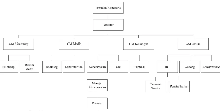 Gambar 2.1 Struktur Organisasi R.S. Efarina Etaham Berastagi 