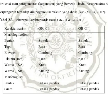 Tabel 2.3. Beberapa Karakterisitik Isolat GK-01 & GB-01 