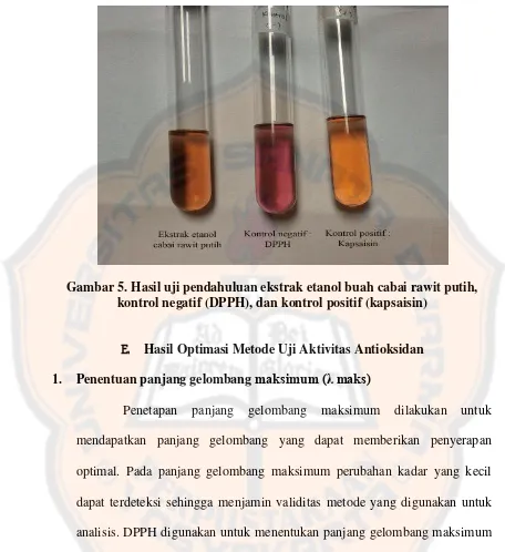 Gambar 5. Hasil uji pendahuluan ekstrak etanol buah cabai rawit putih, 