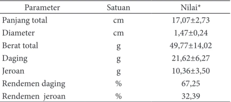 Tabel 1 Morfometrik cacing laut