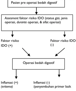 Gambar 1. Alur Assessment IDO 