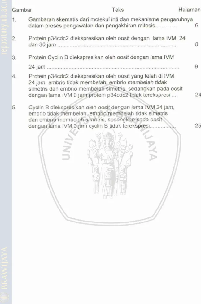 Gambar  Teks  Halaman 