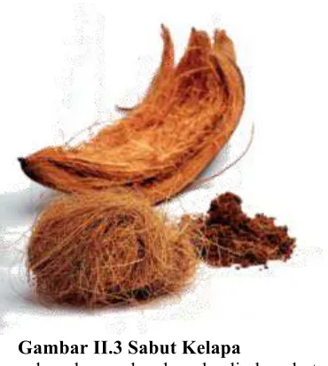 Gambar II.3 Sabut Kelapa 