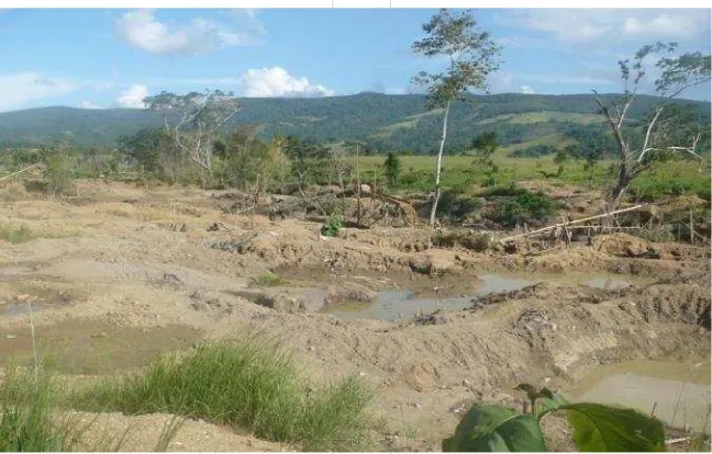 Gambar 9. Conto batuan tersilisifikasi dengan kuarsa vuggy dalam satuan batuansekis di Desa Wumbubangka, Kecamatan Rarowatu Utara KabupatenBombana (Kisman dkk., 2009)