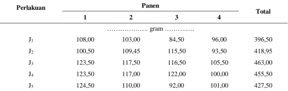 Tabel  6.Rata-rata  hasil  berat  buahsegar  pertanaman  (g)  pada  beberapa  jaraktanam  pada  panen  pertama sampai ke empat 