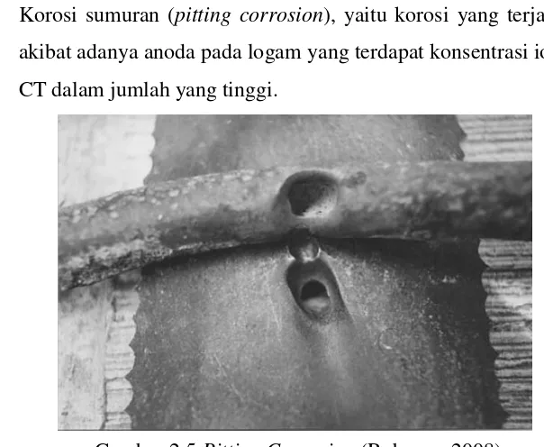 Gambar 2.5 Pitting Corrosion  (Roberge, 2008) 