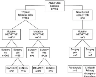 FIG. 1.Schematic representation ofthe study ﬂow and main ﬁndings.