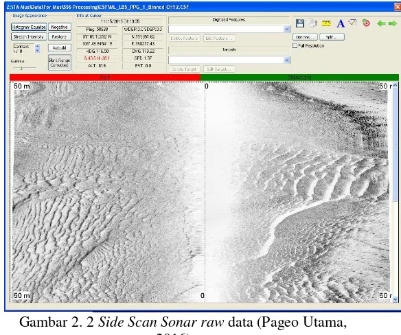 Gambar 2. 2 Side Scan Sonar raw data (Pageo Utama, 
