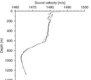 Gambar 2. 9 Contoh Profil Kecepatan Suara dalam air  (Beyer, 2006) 