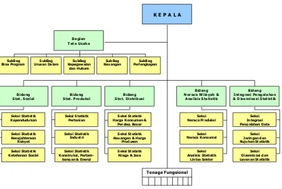 Gambar 3.1 Struktur organisasi BPS  Provinsi 