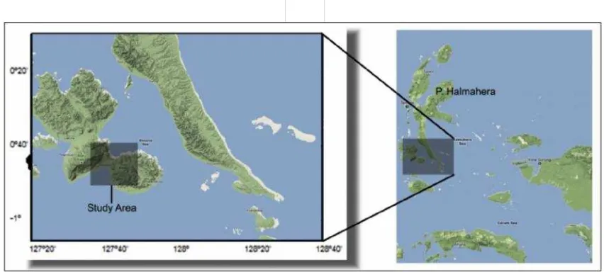 Gambar 2 . Peta geologi Songa-Wayaua (modifikasi dari peta geologi Songa-Wayauadari Tim Survey Terpadu, 2006)