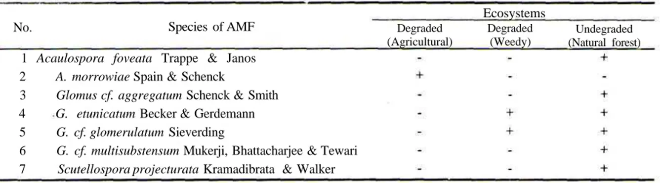 Table 1. The occurrence of AMF at Different Ecosystems in Ciptarasa, GHNP.