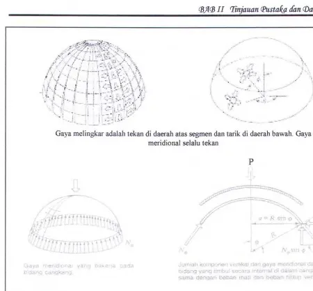 Gambar 2.11 Gaya Melingkar dan Meridional pada Shell Sphere (Schodek, 1999) 