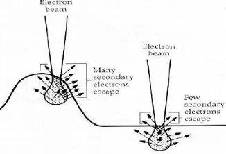 Gambar 2.11 Mekanisme kontras electron sekunder 