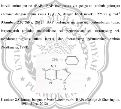 Gambar 2.8 Rumus bangun 6-benzilamino purin (BAP) (George & Sherrington, 