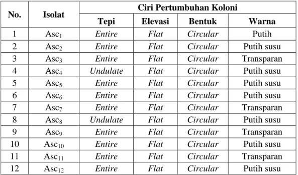 Tabel 1. Karakteristik morfologi koloni bakteri yang bersimbion dengan tunikata Rhopalaea sp