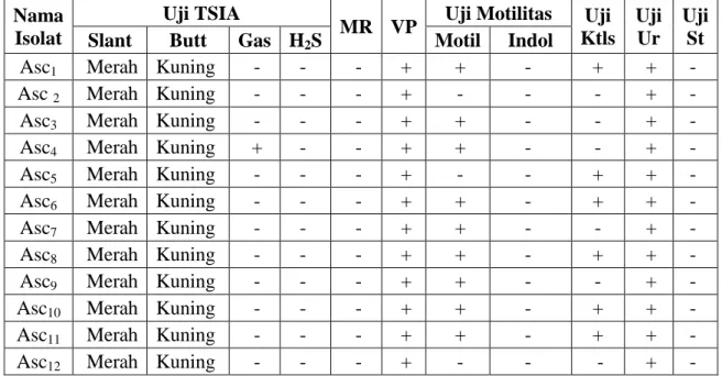 Tabel  3.  Karakteristik  isolat  hasil  uji  TSIA  (Triple  Sugar  Iron  Agar),  MR-VP  (Methyl  Red-Voges  Proskauer), SCA (Simmon Citrate Agar), motilitas, katalase, dan urease