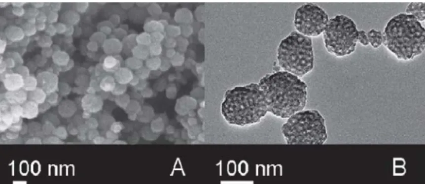 Gambar 3. Gambar scanning electron microscope (SEM) dari MNPS dengan kubik struktur dan berukuran  nano (A) dan gambar dari Transmission Electron Microscope (TEM) (B) (Hartono, Gu, Kleitz, Liu, He, Middelberg, 