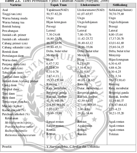 Tabel 2.1.  Tabel Perbedaan 3 jenis Tanaman Nilam (Nuryani; 2006) 