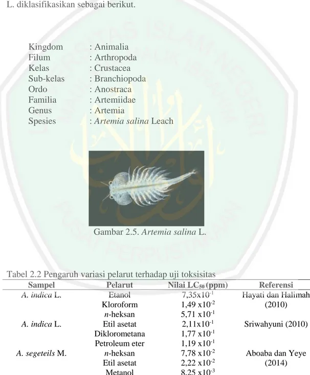 Gambar 2.5. Artemia salina L. 