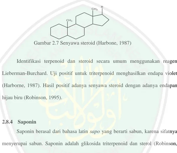 Gambar 2.7 Senyawa steroid (Harbone, 1987) 
