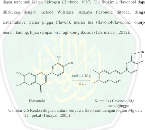 Gambar 2.6 Reaksi dugaan antara senyawa flavonoid dengan logam Mg dan  HCl pekat (Hidayat, 2005) 