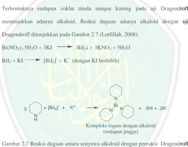Gambar 2.7 Reaksi dugaan antara senyawa alkaloid dengan pereaksi  Dragendroff  (Lutfillah, 2008) 