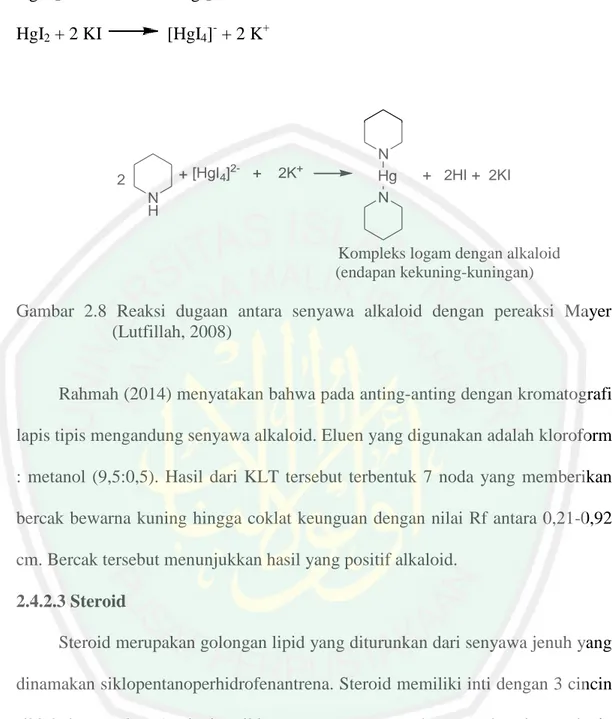 Gambar  2.8  Reaksi  dugaan  antara  senyawa  alkaloid  dengan  pereaksi  Mayer  (Lutfillah, 2008) 