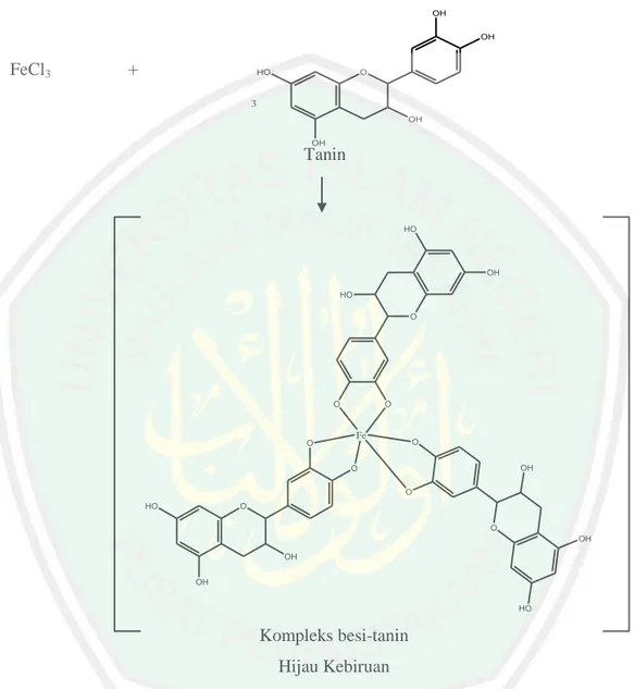 Gambar 2.10 Reaksi dugaan antara senyawa tanin dengan FeCl 3  (Dermawan,  2012) 