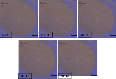 Tabel 4.2  Hasil Meshing Setiap Mesh Contour 