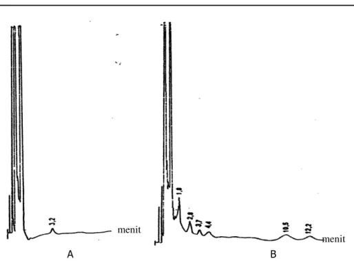 Gambar 2.6.A. Kromatogram dari fraksi 6 (  hasil pemurnian  kromatografi  kolom  silika  gel)  tanpa  irradiasi  (  0  Gy  )