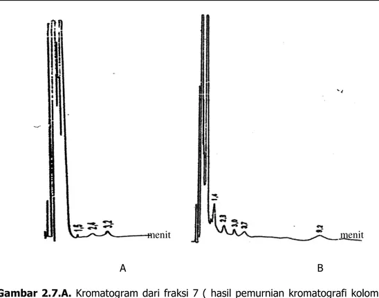 Gambar 2.7.A. Kromatogram dari fraksi 7 (  hasil pemurnian  kromatografi  kolom  silika  gel)  tanpa  irradiasi  (  0  Gy  )