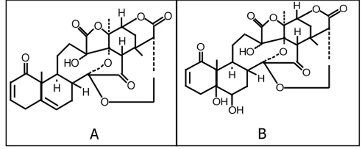 Gambar 1.  Struktur molekul senyawa physalin B (A) dan physalin D (B) B 
