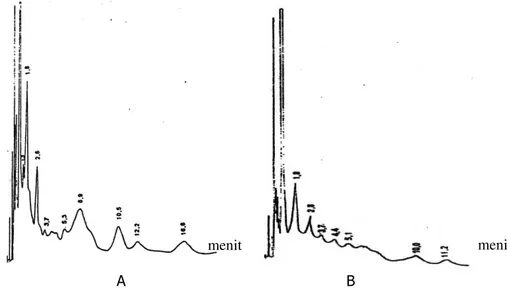 Gambar 2.1.A. Kromatogram  dari  fraksi 1  (  hasil pemurnian  kromatografi  kolom  silika  gel)  tanpa  irradiasi  (  0  Gy  )