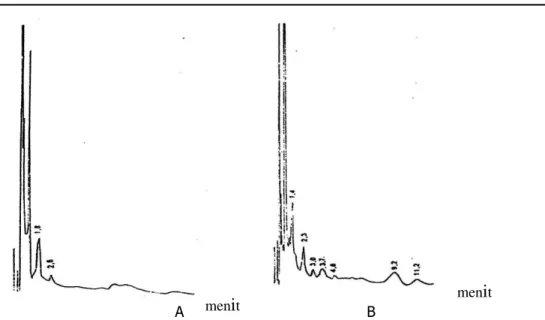 Gambar 2.2.B. Kromatogram dari fraksi 2 (  hasil pemurnian  kromatografi kolom  silika  gel)  dengan  irradiasi  (  0,22  Gy  )
