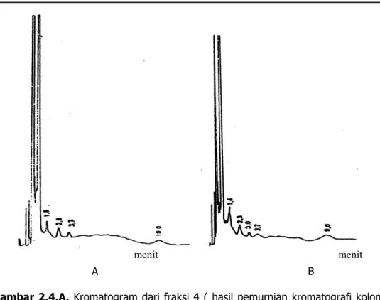 Gambar 2.4.A. Kromatogram dari fraksi 4 (  hasil pemurnian  kromatografi  kolom  silika  gel)  tanpa  irradiasi  (  0  Gy  )