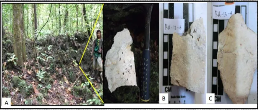 Figure 7. Tendehantu Formation outcrop represents packestone – grainstone lithofacies