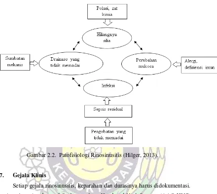 Gambar 2.2.  Patofisiologi Rinosinusitis (Hilger, 2013). 
