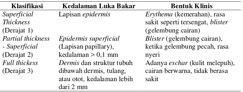 Tabel 2.1. Klasifikasi Luka Bakar 