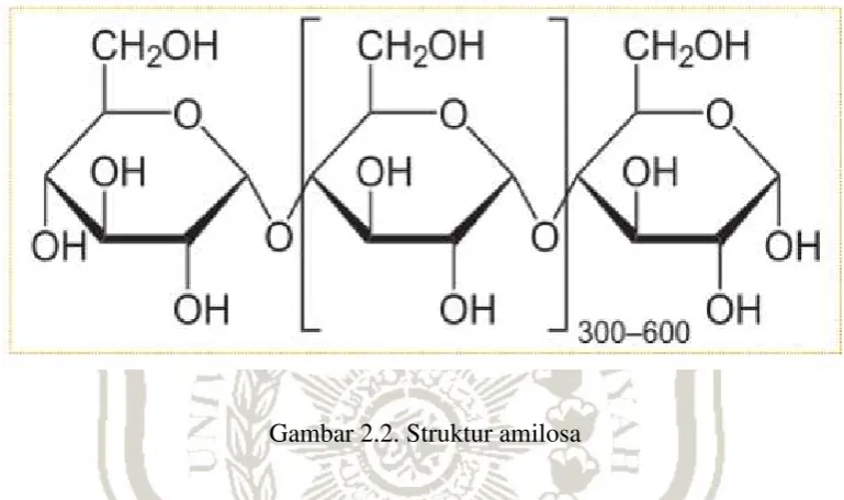 Gambar 2.2. Struktur amilosa 