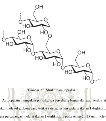 Gambar 2.3. Struktur amilopektin 