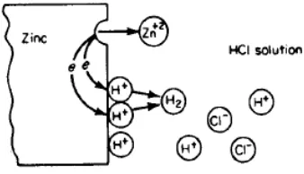 Gambar 2.18 mekanisme terjadinya korosi pada zinc dengan larutan HCL 