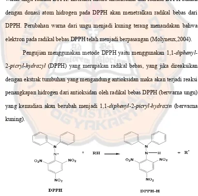 Gambar 1. Reaksi radikal DPPH dengan antioksidan (Windono,2001)