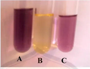 Gambar 4. Hasil Uji pendahuluan uji aktivitas antioksidan ( A = Larutan DPPH; B =