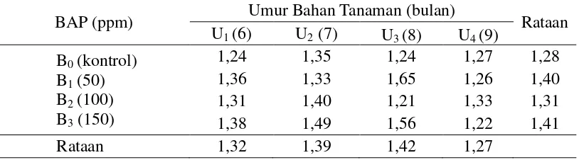 Tabel 5. Rasio tajuk dan akar bibit bud chips tebu 10 MSPT pada berbagai umur bahan tanaman dengan pemberian BAP 