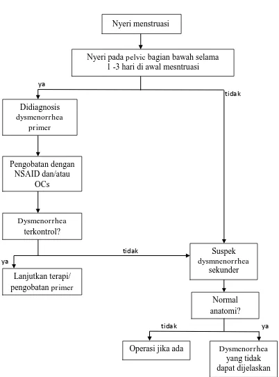 Gambar 2.4 Alur diagnosis dysmenorrhea. NSAID = non steroidal anti-inflamatory drug; OCs = oral contraceptive (French, 2008 dengan 