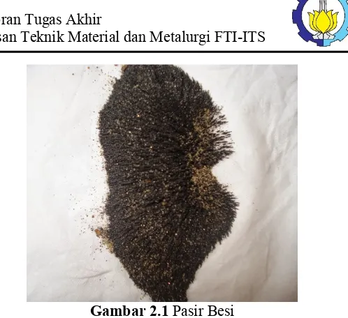 Gambar 2.1 Pasir Besi